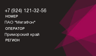 9241213256